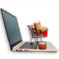 Ecommerce Website Development in Gurgaon